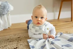 Dreieckstuch Baby - Bandana, Little Water Whale